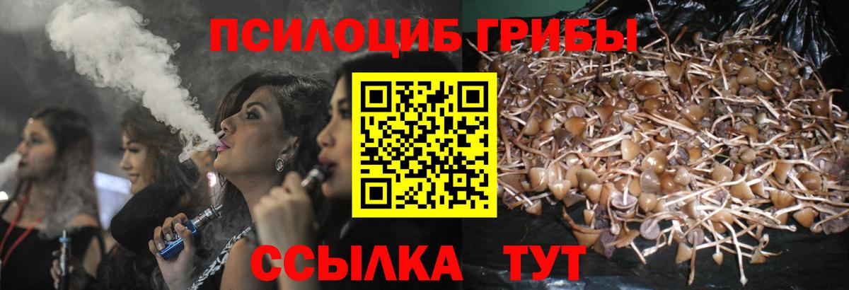 Котельники  закладки  Вход с VPN  Псилоцибиновые грибы MAGIC MUSHROOMS  Псилоцибиновые грибы Magic Shrooms 