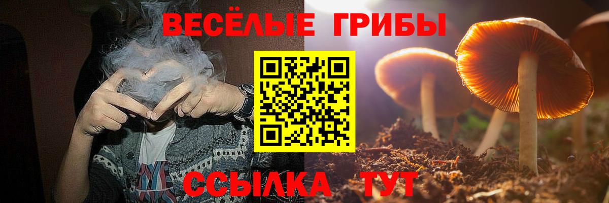 Псилоцибиновые грибы MAGIC MUSHROOMS Котельники